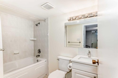 308-718 12 Avenue Sw, Calgary, AB - Indoor Photo Showing Bathroom