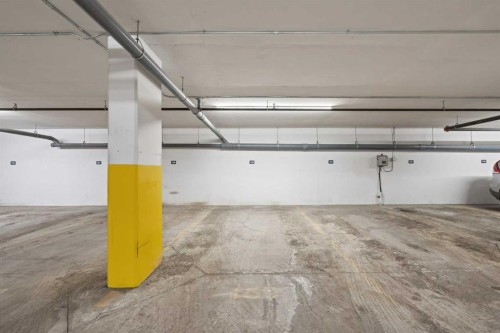 116-238 Sage Valley Common Nw, Calgary, AB - Indoor Photo Showing Garage