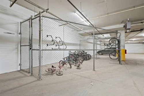 116-238 Sage Valley Common Nw, Calgary, AB - Indoor Photo Showing Garage