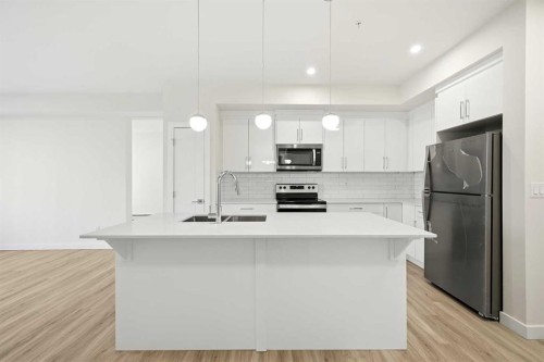 2221-15 Skyview Point Crescent Ne, Calgary, AB - Indoor Photo Showing Kitchen With Stainless Steel Kitchen With Double Sink With Upgraded Kitchen