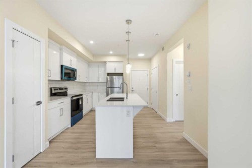 2221-15 Skyview Point Crescent Ne, Calgary, AB - Indoor Photo Showing Kitchen With Upgraded Kitchen