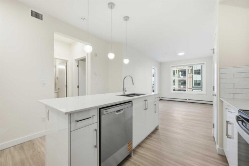 2221-15 Skyview Point Crescent Ne, Calgary, AB - Indoor Photo Showing Kitchen With Upgraded Kitchen