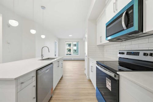 2221-15 Skyview Point Crescent Ne, Calgary, AB - Indoor Photo Showing Kitchen With Stainless Steel Kitchen With Double Sink With Upgraded Kitchen