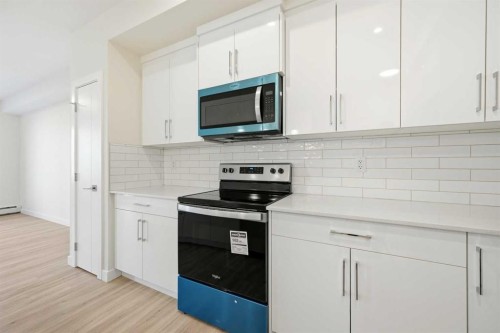 2221-15 Skyview Point Crescent Ne, Calgary, AB - Indoor Photo Showing Kitchen With Upgraded Kitchen