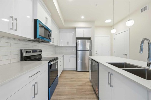 2221-15 Skyview Point Crescent Ne, Calgary, AB - Indoor Photo Showing Kitchen With Stainless Steel Kitchen With Double Sink With Upgraded Kitchen