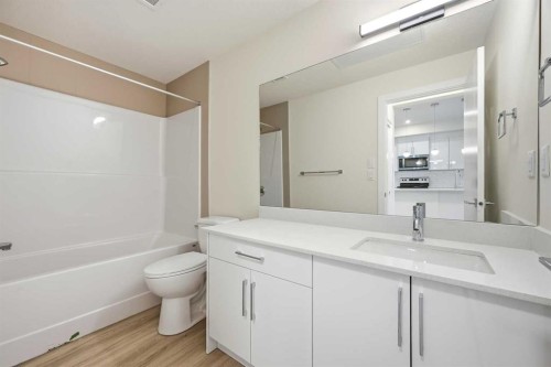 2221-15 Skyview Point Crescent Ne, Calgary, AB - Indoor Photo Showing Bathroom