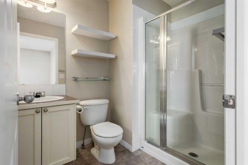 79 Copperfield Court Se, Calgary, AB - Indoor Photo Showing Bathroom