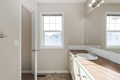 79 Copperfield Court Se, Calgary, AB - Indoor Photo Showing Bathroom