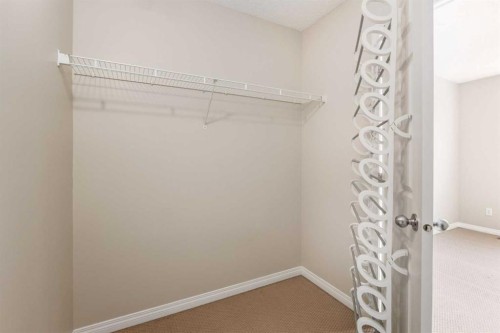 79 Copperfield Court Se, Calgary, AB - Indoor With Storage