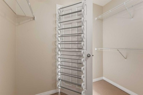 79 Copperfield Court Se, Calgary, AB - Indoor With Storage