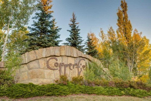 79 Copperfield Court Se, Calgary, AB - Outdoor