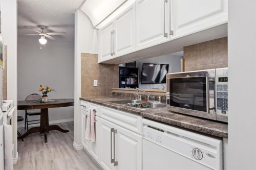 412-11 Dover Point Se, Calgary, AB - Indoor Photo Showing Kitchen With Double Sink