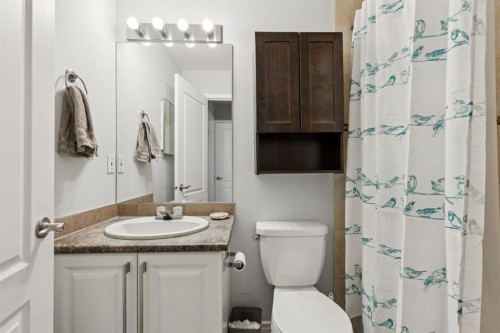 412-11 Dover Point Se, Calgary, AB - Indoor Photo Showing Bathroom