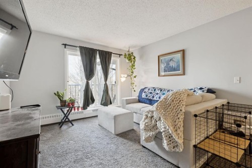 412-11 Dover Point Se, Calgary, AB - Indoor Photo Showing Living Room