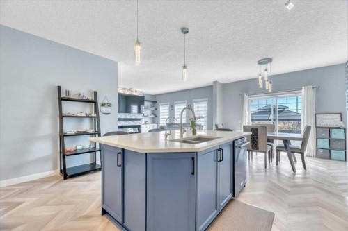 260 Ranch Close, Strathmore, AB - Indoor Photo Showing Kitchen With Double Sink