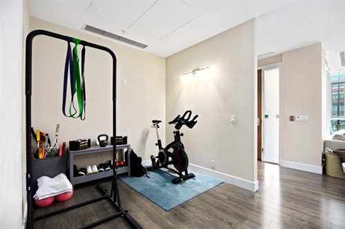 574 Riverfront Lane Se, Calgary, AB - Indoor Photo Showing Gym Room
