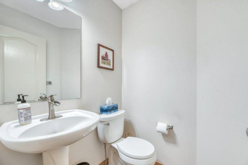 187 Brightondale Crescent Se, Calgary, AB - Indoor Photo Showing Bathroom