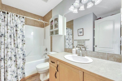 187 Brightondale Crescent Se, Calgary, AB - Indoor Photo Showing Bathroom