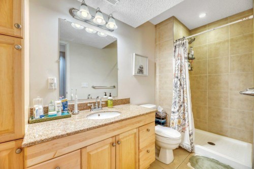187 Brightondale Crescent Se, Calgary, AB - Indoor Photo Showing Bathroom