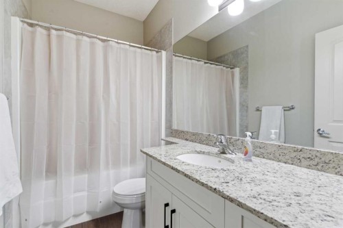 1151 Westmount Drive, Strathmore, AB - Indoor Photo Showing Bathroom