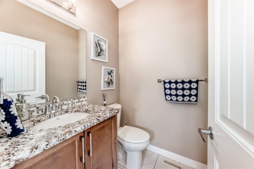 36 Red Embers Row Ne, Calgary, AB - Indoor Photo Showing Bathroom