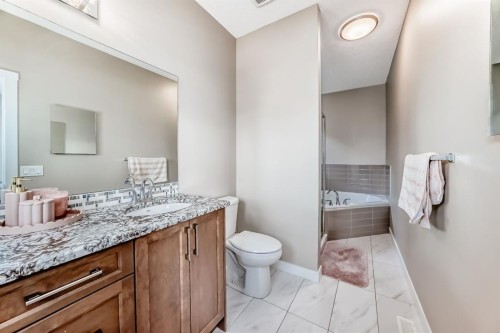 36 Red Embers Row Ne, Calgary, AB - Indoor Photo Showing Bathroom
