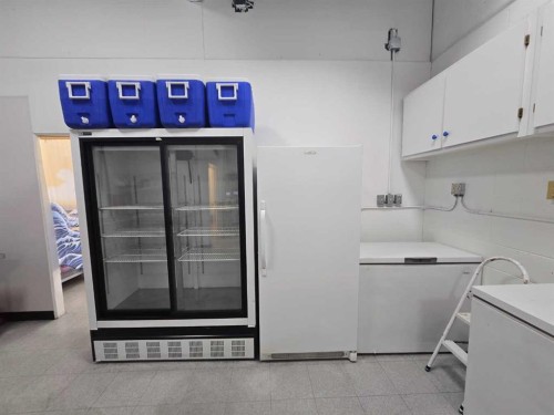 3132 26 Street Ne, Calgary, AB 