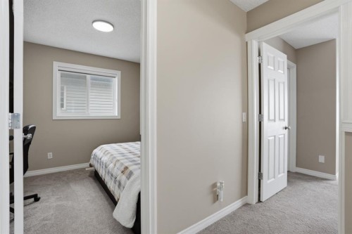 235 Coville Close Ne, Calgary, AB - Indoor Photo Showing Bedroom