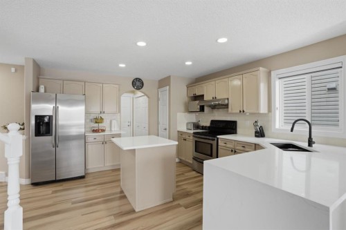 235 Coville Close Ne, Calgary, AB - Indoor Photo Showing Kitchen With Stainless Steel Kitchen With Upgraded Kitchen