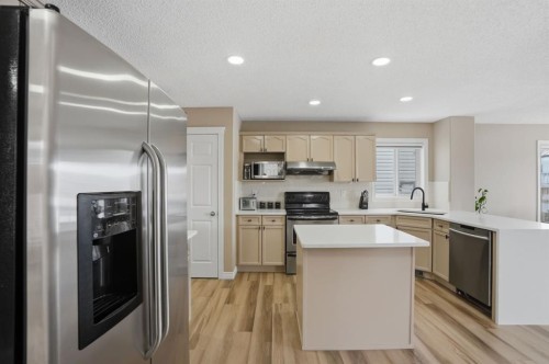 235 Coville Close Ne, Calgary, AB - Indoor Photo Showing Kitchen With Stainless Steel Kitchen