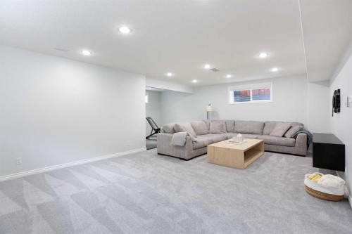 54 Springborough Point Sw, Calgary, AB - Indoor Photo Showing Basement