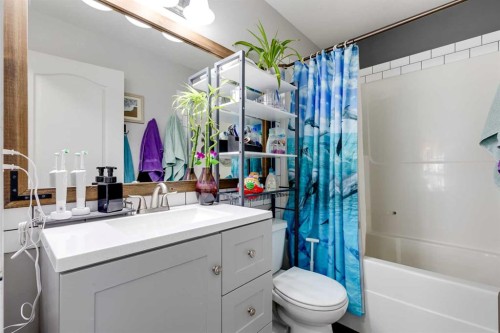48 Hawthorn Way Ne, Olds, AB - Indoor Photo Showing Bathroom