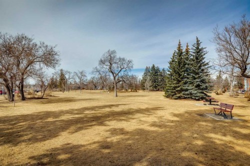 228 Crescent Road Nw, Calgary, AB - Outdoor With View