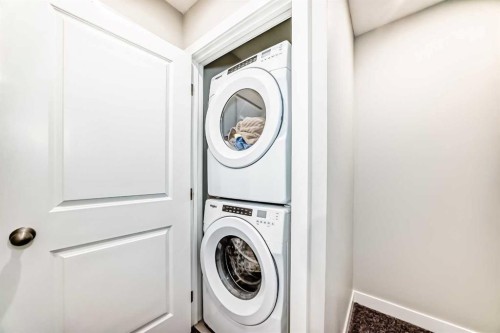 294 Canals Crossing Sw, Airdrie, AB - Indoor Photo Showing Laundry Room