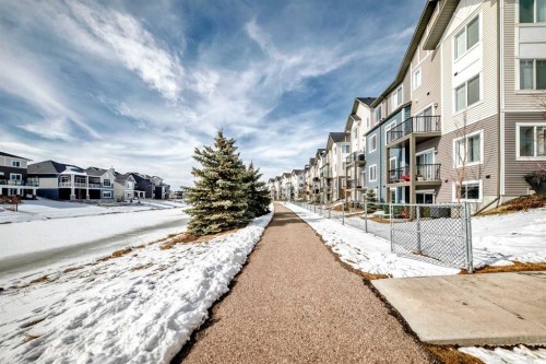 294 Canals Crossing Sw, Airdrie, AB - Outdoor