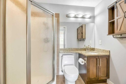 102-1005B Westmount Drive, Strathmore, AB - Indoor Photo Showing Bathroom