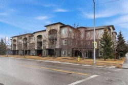 103-201 20 Avenue NE Calgary, AB T2E 1R1