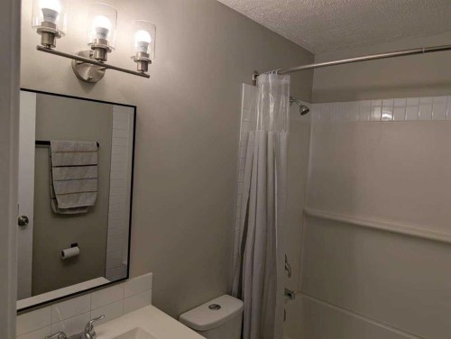 528 Queensland Place Se, Calgary, AB - Indoor Photo Showing Bathroom