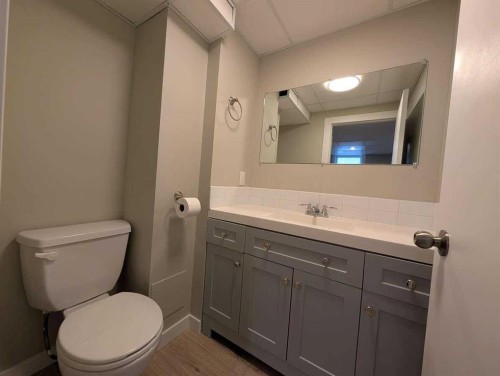 528 Queensland Place Se, Calgary, AB - Indoor Photo Showing Bathroom