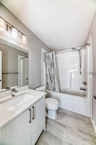 57 Skyview Ranch Avenue Ne, Calgary, AB - Indoor Photo Showing Bathroom
