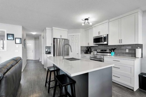 2 Saddleland Way Ne, Calgary, AB - Indoor Photo Showing Kitchen With Double Sink With Upgraded Kitchen