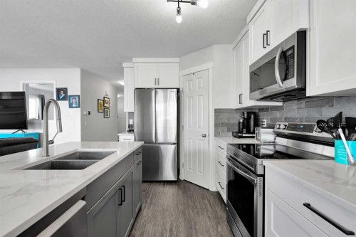 2 Saddleland Way Ne, Calgary, AB - Indoor Photo Showing Kitchen With Double Sink With Upgraded Kitchen