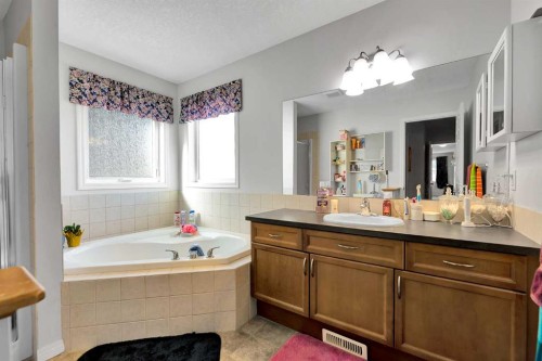 2 Saddleland Way Ne, Calgary, AB - Indoor Photo Showing Bathroom
