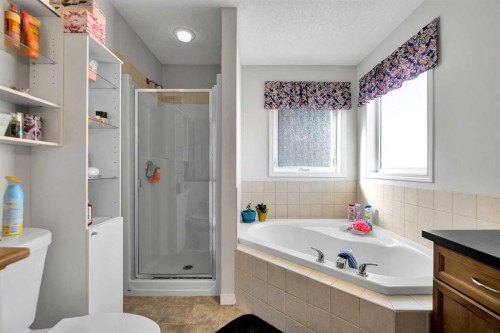 2 Saddleland Way Ne, Calgary, AB - Indoor Photo Showing Bathroom