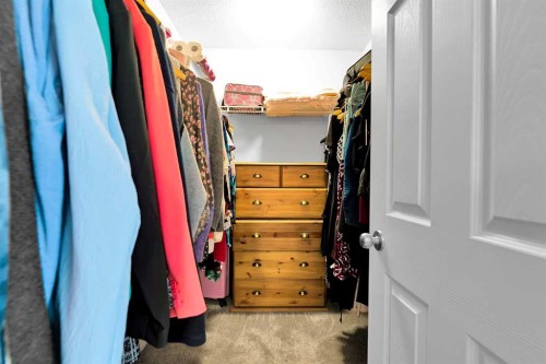 2 Saddleland Way Ne, Calgary, AB - Indoor With Storage