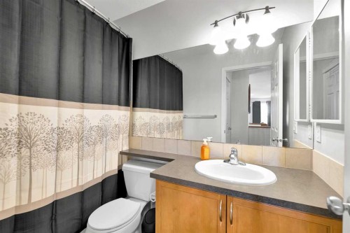 2 Saddleland Way Ne, Calgary, AB - Indoor Photo Showing Bathroom