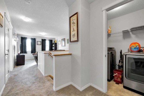 2 Saddleland Way Ne, Calgary, AB - Indoor Photo Showing Laundry Room