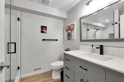 2 Saddleland Way Ne, Calgary, AB - Indoor Photo Showing Bathroom