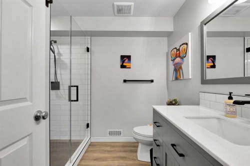 2 Saddleland Way Ne, Calgary, AB - Indoor Photo Showing Bathroom