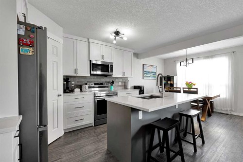 2 Saddleland Way Ne, Calgary, AB - Indoor Photo Showing Kitchen With Double Sink With Upgraded Kitchen